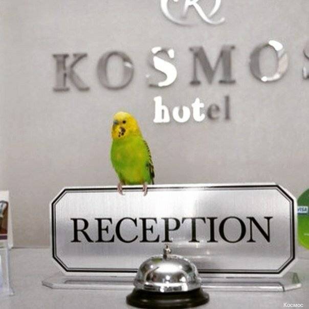Фото Гостиницы Космос Комсомольск-на-Амуре 4